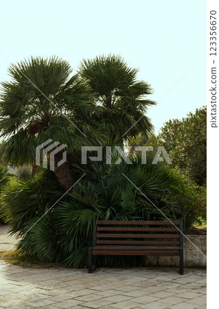 Park bench surrounded by tropical palm trees in a bright inviting setting perfect for relaxation and vacation themes Park bench surrounded by tropical palm trees in a bright inviting setting perfect for relaxation and vacation themes 123356670