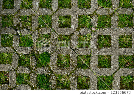 Fresh grass growing through textured concrete pavement in a minimalist urban setting Fresh grass growing through textured concrete pavement in a minimalist urban setting 123356673
