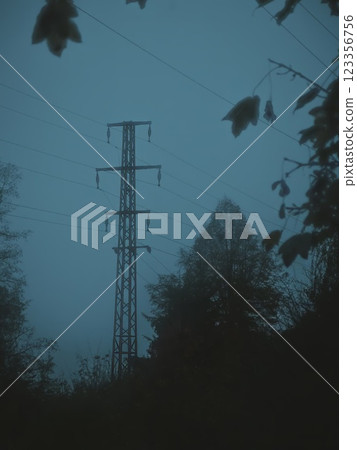 Electric Power Lines in Foggy Forest 123356756