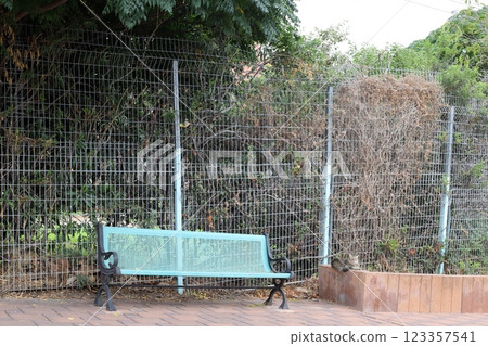 green plants and flowers grow along the high fence 123357541