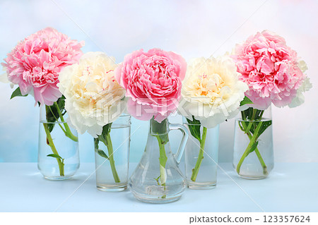 Fresh peonies in vase on sunny background.Banner for congratulations on Mother's Day, wedding, Women's Day, birthday.Abstract floral arrangement,Minimal modern aesthetic,elegant beauty concept, 123357624