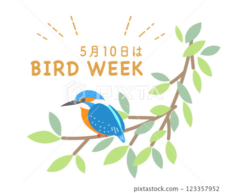 國際鳥週 翠鳥花環 野生鳥類 鳥類 123357952