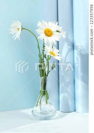 Premium stage for showcasing product and business concept. Minimal modern aesthetic. Beautiful flower arrangement with white daisies, empty product podium, elegant beauty concept, selective focus Premium stage for showcasing product and business concept. Minimal modern aesthetic. Beautiful flower arrangement with white daisies, empty product podium, elegant beauty concept, selective focus 123357956