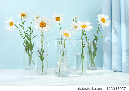 Beautiful flower arrangement with white daisies in a vase, empty product podium, Premium stage for product showcase and business concept. Minimal modern aesthetic. elegant beauty concept, selective 123357957