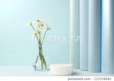Abstract floral arrangement of fresh chamomile and phlox flowers, stage for product display and business concept. Minimal modern aesthetics. elegant beauty concept, selective focus 123358085