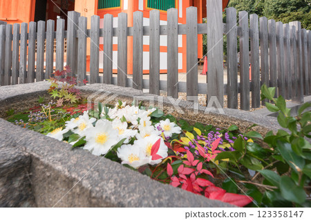 拍攝京都府八幡市朱紅色的八角堂 123358147