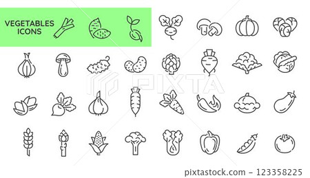 Vegetables Icons Set Vegetables Icons Set 123358225