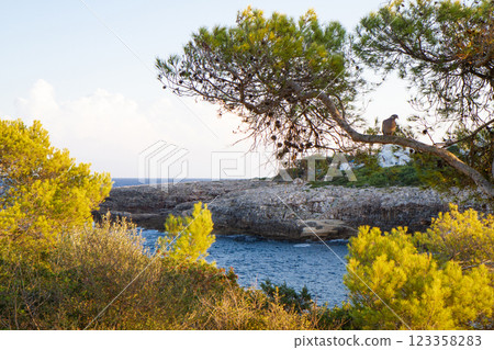 horizon on a beautiful seascape from a rocky shore horizon on a beautiful seascape from a rocky shore 123358283