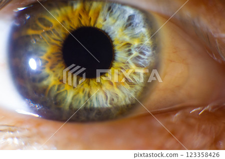 close-up macro photography of the human eye with fine details close-up macro photography of the human eye with fine details 123358426