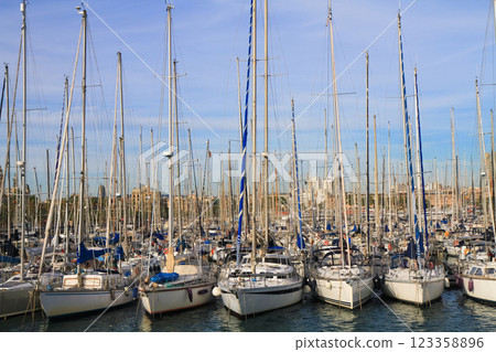 beautiful ships and boats are moored near the shore beautiful ships and boats are moored near the shore 123358896
