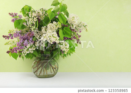 Abstract flower arrangement, home interior with beautiful spring lilac branches in a vase, banner, still life with space for text, floral holiday card, selective focus Abstract flower arrangement, home interior with beautiful spring lilac branches in a vase, banner, still life with space for text, floral holiday card, selective focus 123358985