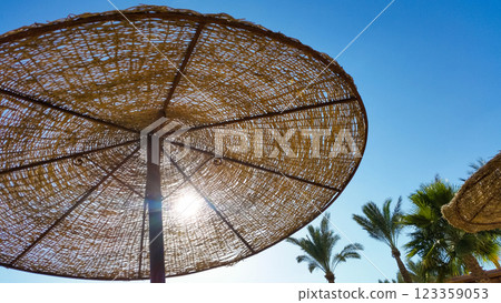 deck chairs and umbrellas on the sea beach in summer 123359053