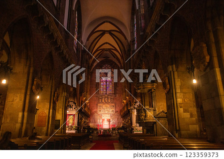 beautiful interior of the Catholic cathedral in Wroclaw beautiful interior of the Catholic cathedral in Wroclaw 123359373
