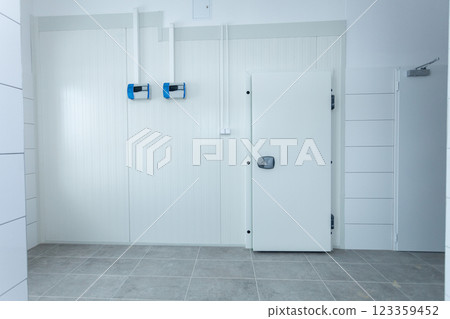 A minimalistic white interior with a secure security door boosts aesthetics and functionality 123359452