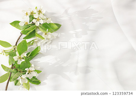 Elegant background with blossoming apple tree branches with place for text, template for design, banner, Abstract floral arrangement, floral holiday card, summer greeting concept, selective focus Elegant background with blossoming apple tree branches with place for text, template for design, banner, Abstract floral arrangement, floral holiday card, summer greeting concept, selective focus 123359734