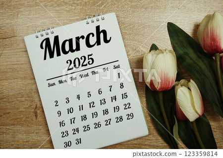 March 2025 annual monthly desk calendar for planning and management 123359814