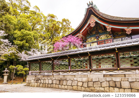 櫻花盛開的五子宮神社,保佑平安產子的京都旅遊景點 櫻花盛開的五子宮神社,保佑平安產子的京都旅遊景點 123359866