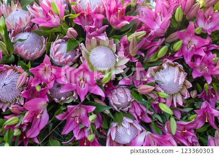 bouquet of beautiful Lilium pink and Protea giant flowers bouquet of beautiful Lilium pink and Protea giant flowers 123360303