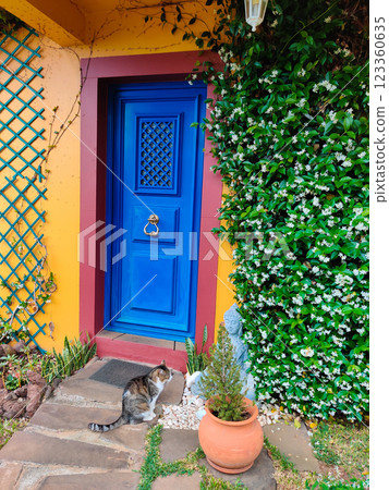 Beautiful and colorful facade of the house with many flowers and plants 123360635