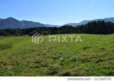 山形縣月山高原牧場最佳景觀 123360785