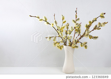 Holiday concept with delicate willow flowers, spring flower arrangement, still life or banner with place for text. Greeting card for Easter, Mother's Day, Happy Birthday, Wedding, selective focus Holiday concept with delicate willow flowers, spring flower arrangement, still life or banner with place for text. Greeting card for Easter, Mother's Day, Happy Birthday, Wedding, selective focus 123360849
