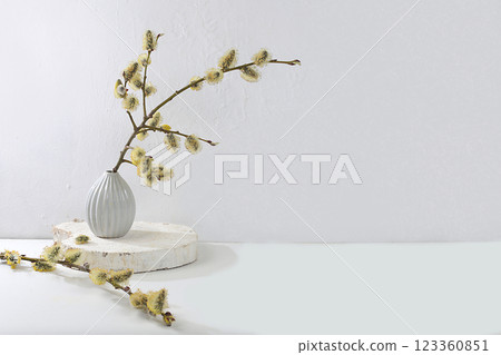 Delicate pussy willow flowers in a vase on a gray background, abstract spring flower arrangement, minimal holiday concept, still life, banner. Easter card, home interior, selective focus 123360851