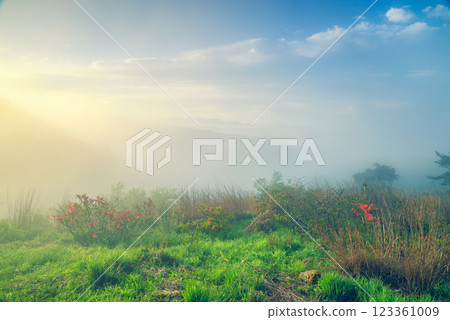 Morning at Takabocchi Plateau [June] 123361009