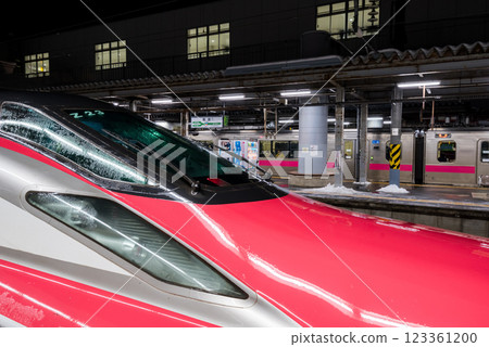 [Akita Shinkansen] Komachi train stopping at Akita Station 123361200
