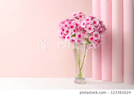 Home interior with decor elements, beautiful phlox flowers in a vase on a light background, abstract flower composition, still life with place for text, floral card for birthday, wedding, selective Home interior with decor elements, beautiful phlox flowers in a vase on a light background, abstract flower composition, still life with place for text, floral card for birthday, wedding, selective 123361624
