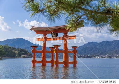 [廣島宮島大鳥居與松樹] 123361639