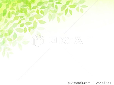 Fresh green leaves thrive Fresh green leaves thrive 123361855