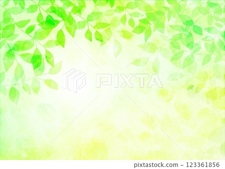 Fresh green leaves thrive 123361856