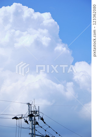 Summer sky with telegraph poles 123362080