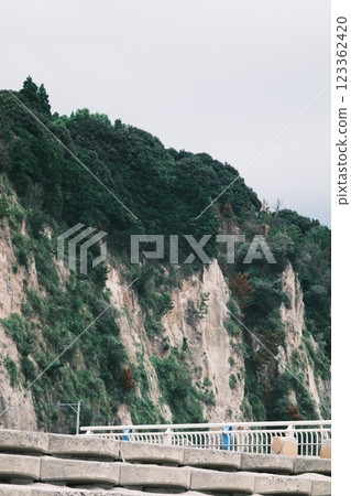 從海灘看到的懸崖 123362420
