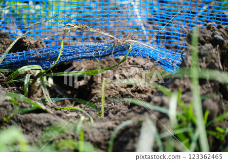 Animal intrusion holes in fields 123362465