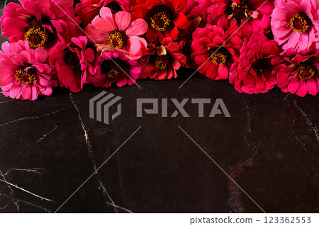 Beautiful autumn banner with gerberas with space for text. Abstract floral composition, holiday card, seasonal still life "Hello, autumn", frame of seasonal flowers, selective focus. 123362553