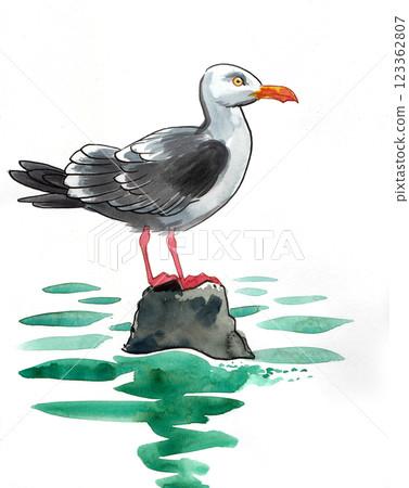 Seagull sitting on a rock.  Bird sitting on a tree branch. Hand drawn watercolour illustration 123362807