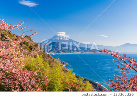 [靜岡縣] 河津櫻花盛開，從薩埼嶺遠眺富士山 123363326