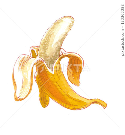 Peeled banana. Hand drawn watercolour illustration Peeled banana. Hand drawn watercolour illustration 123363388