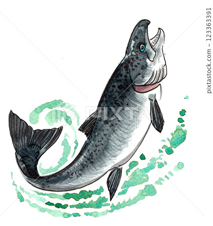Jumping salmon fish. Hand drawn watercolour illustration 123363391
