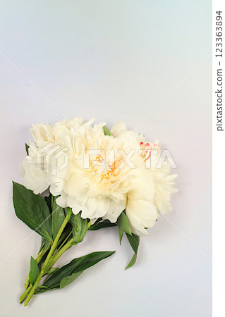 Abstract floral arrangement, flat lay, bouquet of beautiful peonies on an elegant background, spring and summer banner. Creative modern bouquet. Mother's Day card, happy birthday, wedding, holiday 123363894