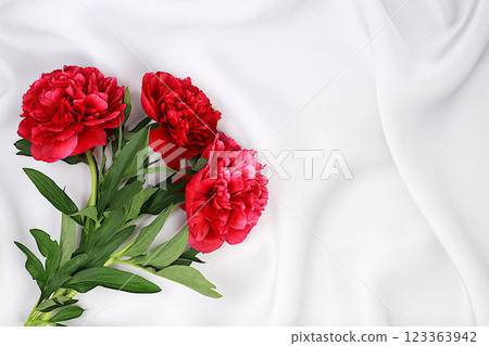 Abstract floral composition, flat lay, beautiful burgundy peonies on an elegant background, spring and summer banner. Creative modern bouquet. Mother's Day card, happy birthday, wedding, pattern, 123363942