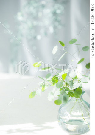 Eucalyptus branches in a glass vase Eucalyptus branches in a glass vase 123363958