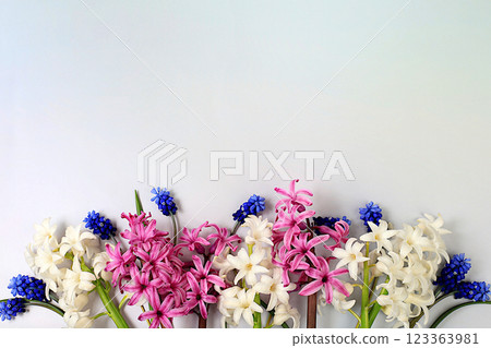 Beautiful spring flowers hyacinths and muscari on a light background, banner.Abstract floral composition, still life with space for text, floral holiday card, summer greeting concept, selective focus 123363981