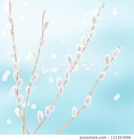 Pussy willow and blue water surface 123363996