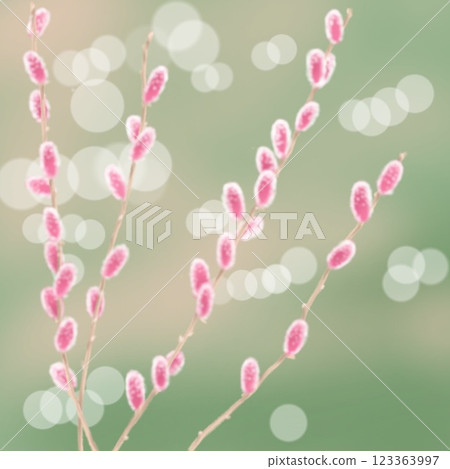 Pussy willow and water surface 123363997