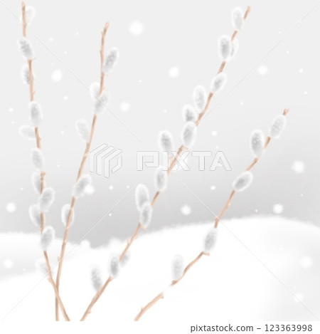 Pussy willow and snow scenery 123363998