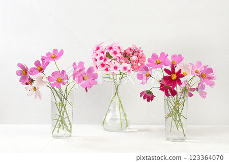 Abstract floral composition.Beautiful chamomile flowers and phloxes in a vase on a light background, Home interior with decor elements, still life with place for text, floral card for birthday, Abstract floral composition.Beautiful chamomile flowers and phloxes in a vase on a light background, Home interior with decor elements, still life with place for text, floral card for birthday, 123364070