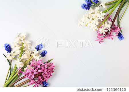 Beautiful spring flowers hyacinths and muscari on a light background, banner.Abstract floral composition, still life with space for text, floral holiday card, summer greeting concept, selective focus Beautiful spring flowers hyacinths and muscari on a light background, banner.Abstract floral composition, still life with space for text, floral holiday card, summer greeting concept, selective focus 123364120