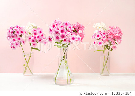 Beautiful phlox flowers in a vase on a light background, abstract flower composition, Home interior with decor elements, still life with place for text, floral card for birthday, wedding, selective Beautiful phlox flowers in a vase on a light background, abstract flower composition, Home interior with decor elements, still life with place for text, floral card for birthday, wedding, selective 123364194